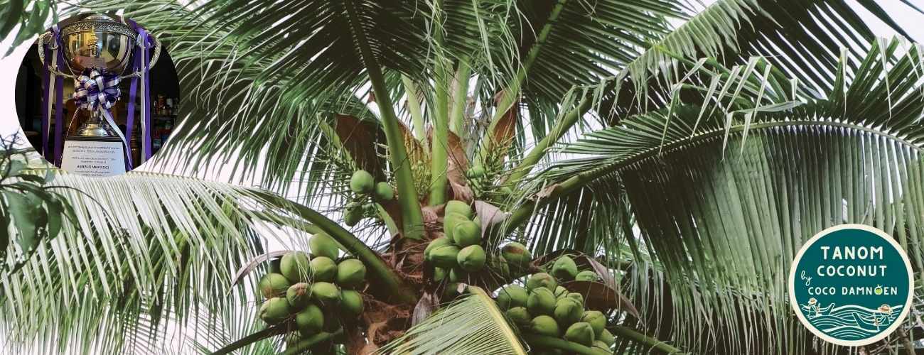 Coco Damnoen Farm Award Winning Coconut Jelly Cover