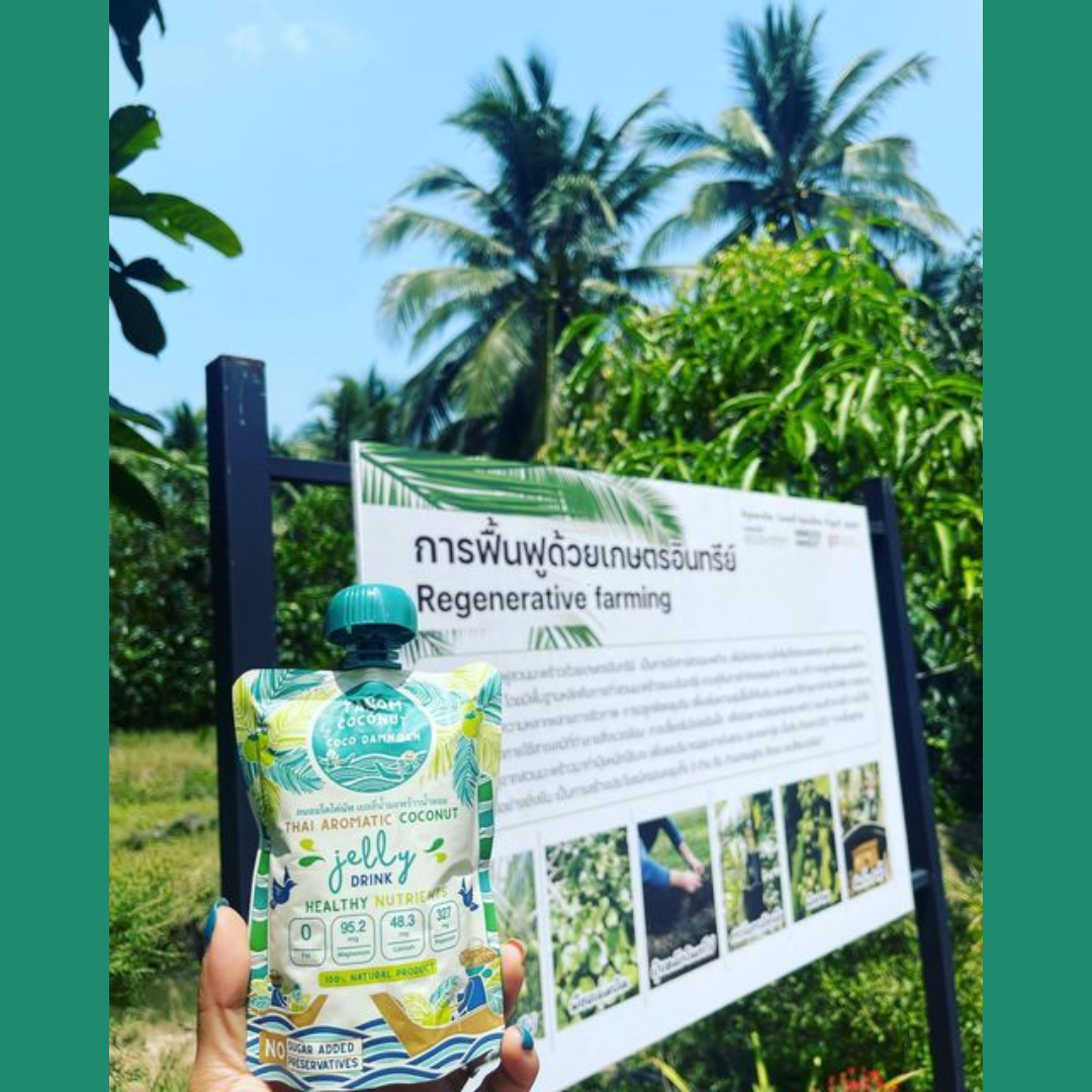 Ratchaburi aromatic coconuts Thailand's GI list for their exceptional quality.